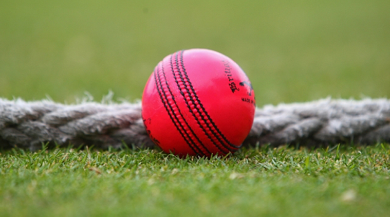 Cricket Australia still in dark over Australia v India day-night Test
